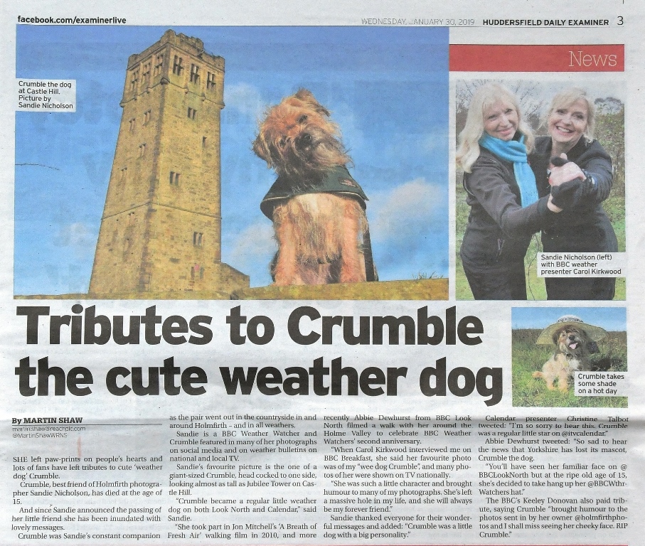 Examiner article Tribute to Crumble the dog